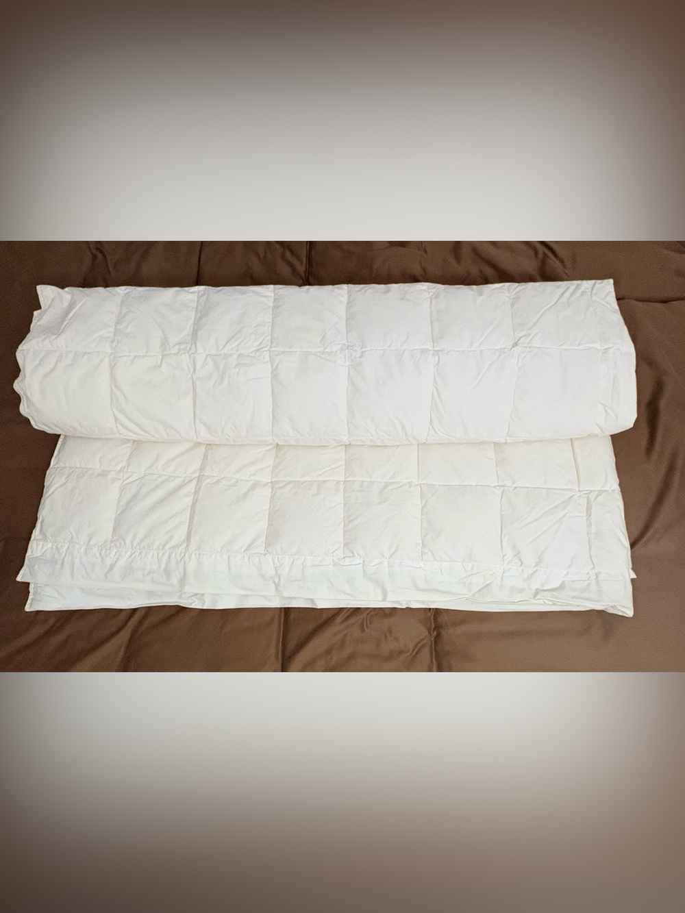 Woolrich Queen Size Down Comforter All Season Lightweight Duvet Insert White